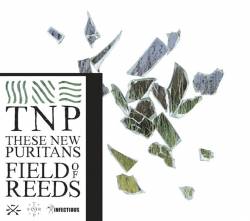 These New Puritans : Field of Reeds